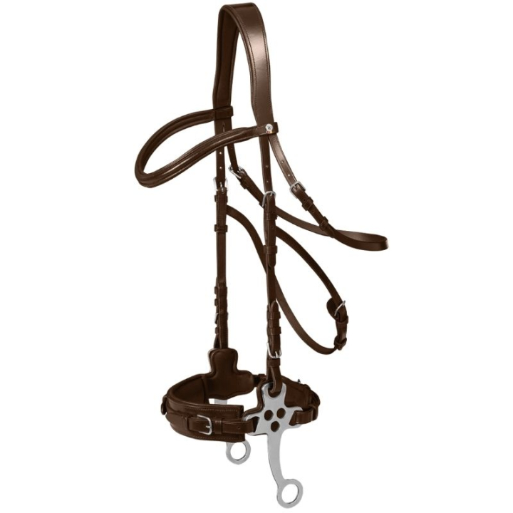 Hackamore hoofdstel X-Line Bruin in de groep Paardenuitrusting / Hoofdstellen & Frontriemen / Hackamore & Bitloze Hoofdstellen bij Equinest (9573830VBR_r)