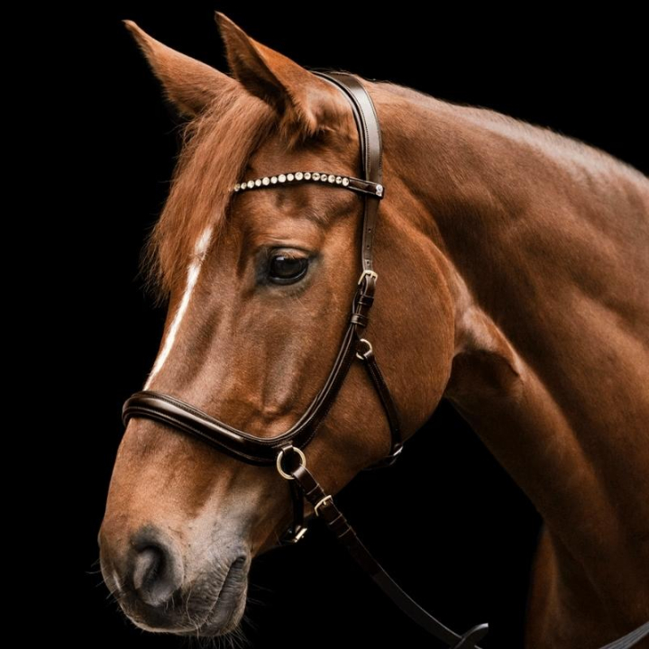 Bitloos hoofdstel Sensation X-Line Bruin in de groep Paardenuitrusting / Hoofdstellen & Frontriemen / Hackamore & Bitloze Hoofdstellen bij Equinest (9579830PBR_r)
