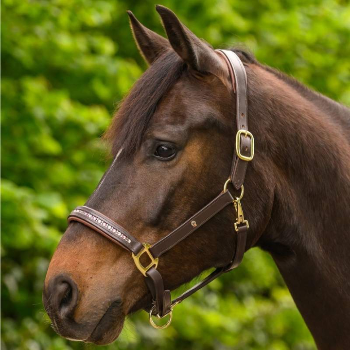 Leren halster Crystal X-Line Bruin/Roze in de groep Paardenuitrusting / Halsters / Leren Halsters bij Equinest (9580995PBPI_r)