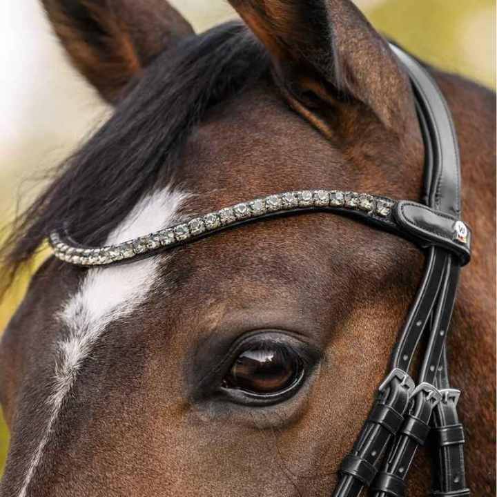 Frontriem Shine X-Line Zwart/Zilver in de groep Paardenuitrusting / Hoofdstellen & Frontriemen / Frontriemen bij Equinest (9589011VBASI_r)