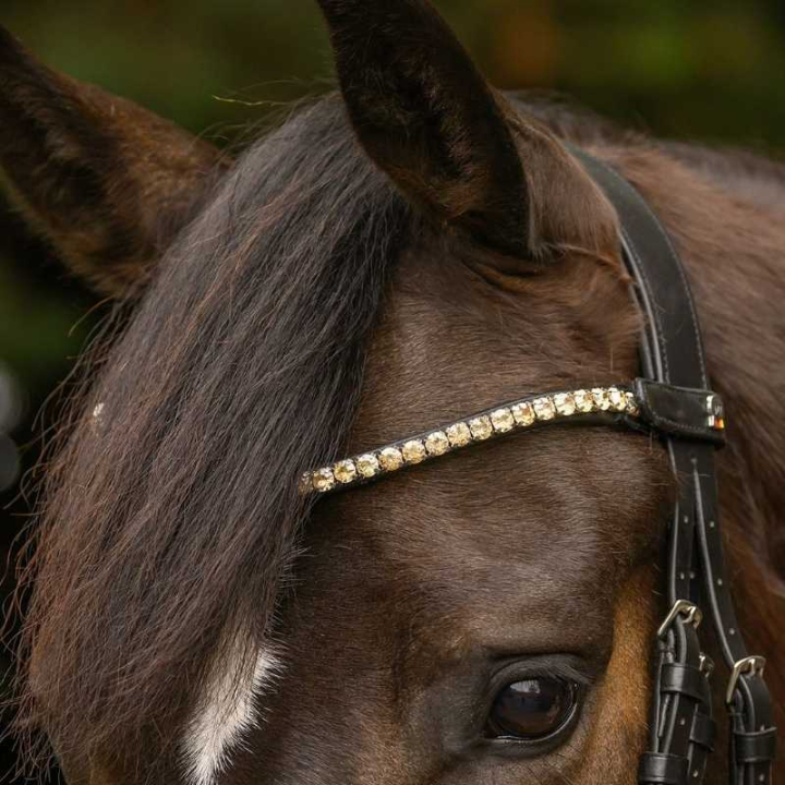 Frontriem Shine X-Line Zwart/Toffee in de groep Paardenuitrusting / Hoofdstellen & Frontriemen / Frontriemen bij Equinest (9589084VBATF_r)