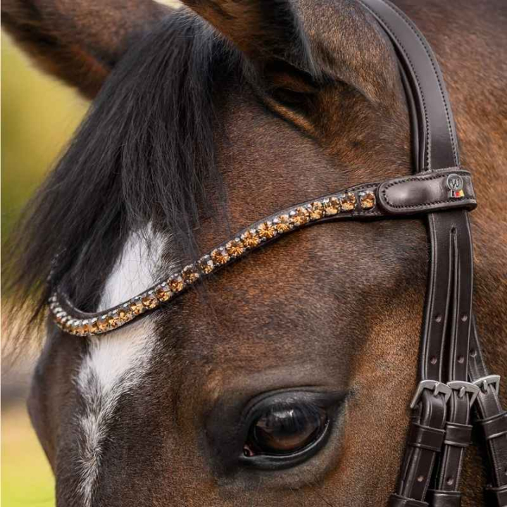 Frontriem Shine X-Line Bruin/Beige in de groep Paardenuitrusting / Hoofdstellen & Frontriemen / Frontriemen bij Equinest (9589107VBRBR_r)