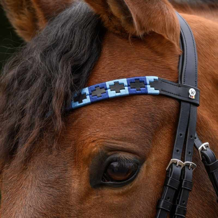 Frontriem Polo X-Line Zwart/Blauw in de groep Paardenuitrusting / Hoofdstellen & Frontriemen / Frontriemen bij Equinest (9589305VBABL_r)
