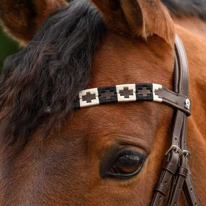 Frontriem Polo X-Line Bruin/Beige in de groep Paardenuitrusting / Hoofdstellen & Frontriemen / Frontriemen bij Equinest (9589401VBRBR_r)