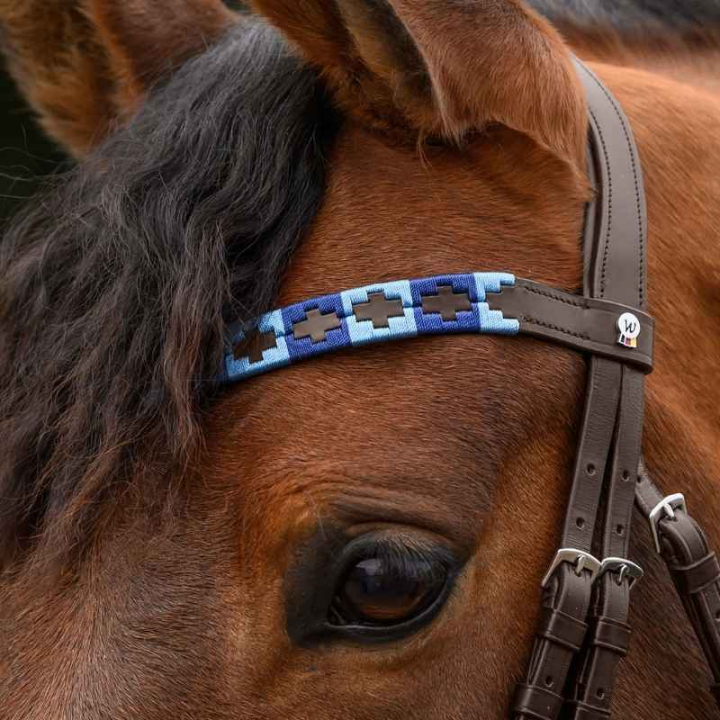 Frontriem Polo X-Line Blauw/Bruin in de groep Paardenuitrusting / Hoofdstellen & Frontriemen / Frontriemen bij Equinest (9589405VBRBL_r)