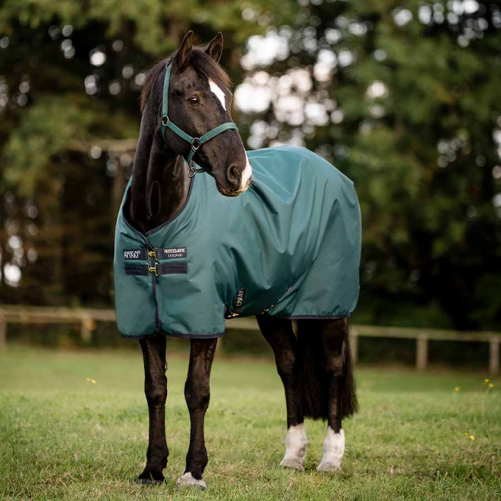 Buitendeke Amigo Ripstop 900D 100g Groen/Marineblauw/Zilver in de groep Paardendekens / Buitendekens / Overgangsdekens bij Equinest (AARABFGBIGNMASI_r)