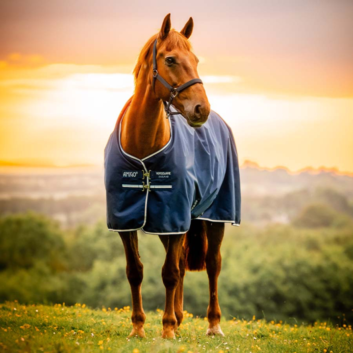 Regendeke Amigo Ripstop 900D Fleece Lined 50g Witney Navy in de groep Paardendekens / Buitendekens / Regendekens bij Equinest (AARAGFVRKWNA_r)