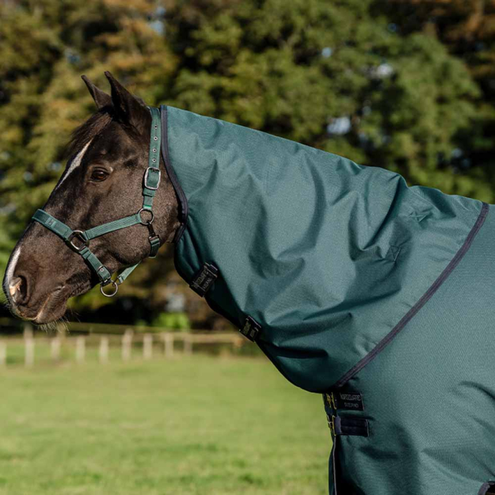 Halsstuk Amigo Ripstop 900D 0g Groen/Marineblauw/Zilver in de groep Paardendekens / Halsstukken bij Equinest (AARN10GBGNMASI_r)