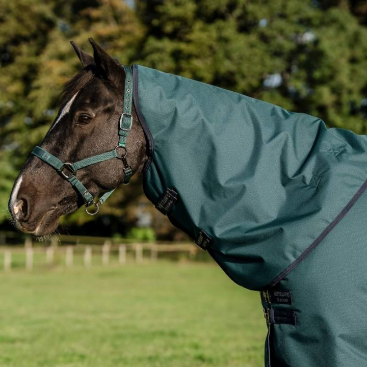 Halsstuk Amigo Ripstop 900D 150g Groen/Marineblauw/Zilver in de groep Paardendekens / Halsstukken bij Equinest (AARN13GBIGNMASI_r)