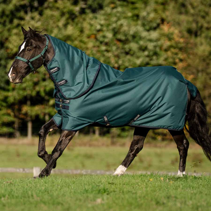 Buitendeke Amigo Ripstop 900D Plus 100g Groen/Marineblauw/Zilver in de groep Paardendekens / Buitendekens / Overgangsdekens bij Equinest (AARPG2GBIGNMASI_r)