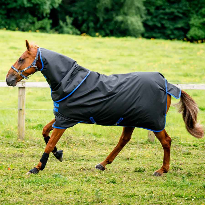 Winterdeken met Kap Amigo Ripstop 900 Plus 200g Zwart/Blauw in de groep Paardendekens / Buitendekens / Wintertdekens bij Equinest (AARPG4BA)
