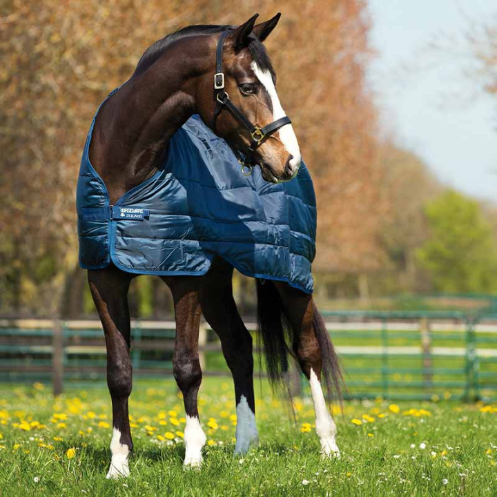 Liner 300g Marineblauw in de groep Paardendekens / Liners & Onderdekens bij Equinest (ABAD63Ma_r)