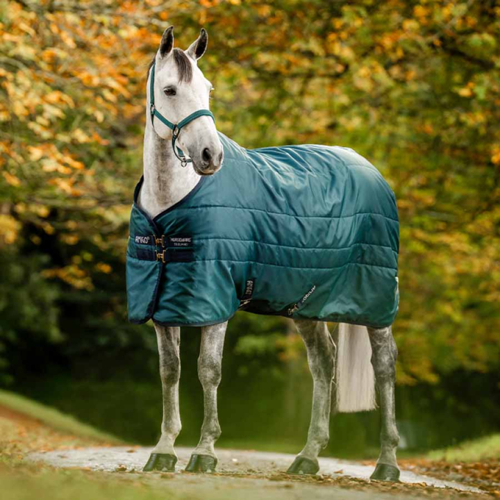Staldeke Amigo Insulator Ripstop 210D 100g Groen/Marineblauw/Zilver in de groep Paardendekens / Staldekens bij Equinest (ABRDM1GBIGNMASI_r)