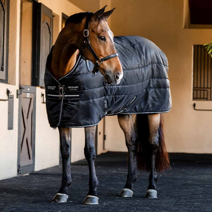 Staldeke Amigo Insulator Ripstop 210D 200g Zwart/Zilver in de groep Paardendekens / Staldekens bij Equinest (ABRDM2KKIBASI_r)