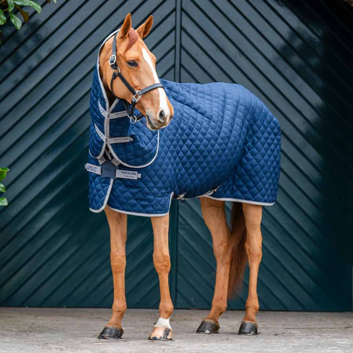 Staldeke Amigo Quilted 600D Plus 200g Marineblauw/Grijs/Zilver in de groep Paardendekens / Staldekens bij Equinest (ABRDT2BJI_r)
