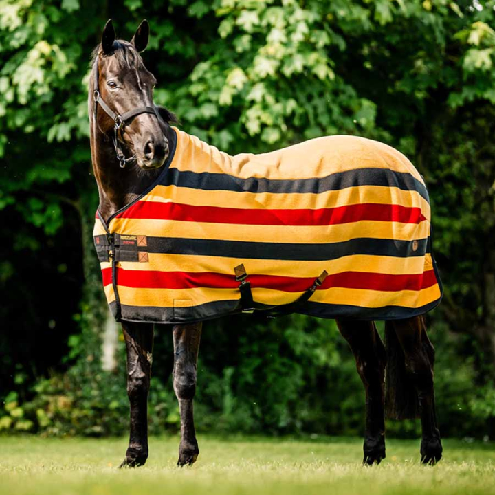 Fleecedeke Newmarket Cooler Witney Gold in de groep Paardendekens / Fleecedekens bij Equinest (ACHFBNVRKWGO_r)