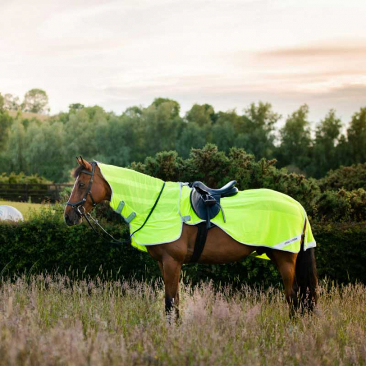 Amigo Flyrider Rijdeken Neongeel in de groep Paardendekens / Landaankleding & Stapdekens bij Equinest (AFRE10Gu_r)