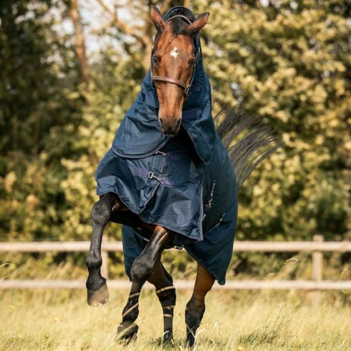 Winterdeken met hals Turnout 300g 600D Marineblauw in de groep Paardendekens / Buitendekens / Wintertdekens bij Equinest (AS00551785NA_r)