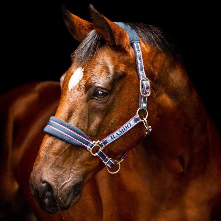 Halster Rambo Padded Marine/Rood in de groep Paardenuitrusting / Halsters / Stof- & Nylon Halsters bij Equinest (DHAG40Ma_r)