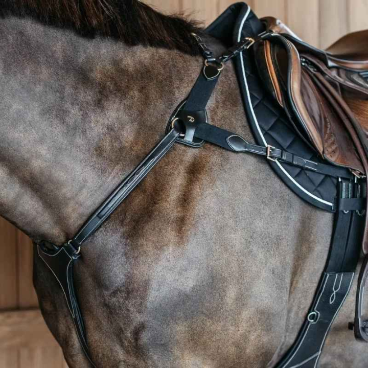 5-Punts Borsttuig Elastic Dyon Collection Zwart in de groep Paardenuitrusting / Martingaal & Borsttuig / Borsttuig bij Equinest (DY06FBLCBA_r)