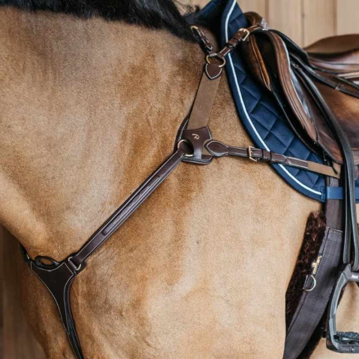 5-Punts Borsttuig Elastic Dyon Collection Bruin in de groep Paardenuitrusting / Martingaal & Borsttuig / Borsttuig bij Equinest (DY06FBRCBR_r)