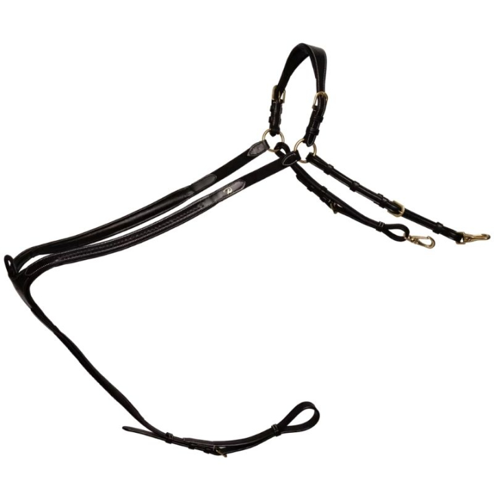 Borsttuig Plaited Dyon Collection Zwart in de groep Paardenuitrusting / Martingaal & Borsttuig / Borsttuig bij Equinest (DY06HBLCBA_r)
