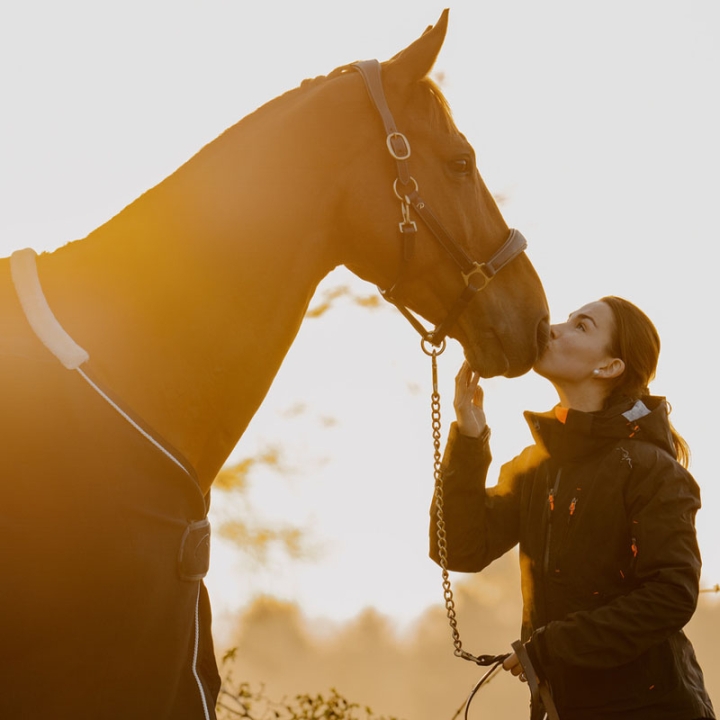 Verzorgingshalster Artificial Leather Anatomic DC Bruin in de groep Paardenuitrusting / Halsters / Leren Halsters bij Equinest (DY09ABRCBR_r)