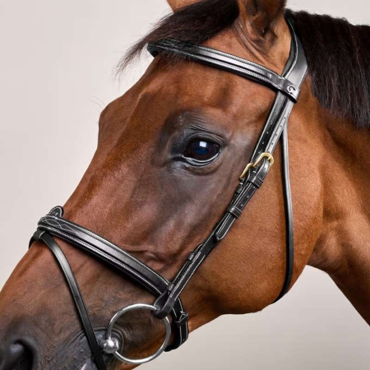 Hoofdstel Gecombineerde Neusriem Dyon Collection Zwart in de groep Paardenuitrusting / Hoofdstellen & Frontriemen / Hoofdstel bij Equinest (DYAAAASv_r)