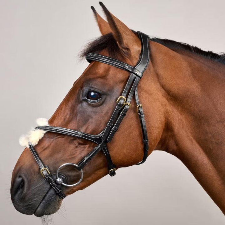 Hoofdstel Mexicaanse Neusriem Dyon Collection Zwart in de groep Paardenuitrusting / Hoofdstellen & Frontriemen / Hoofdstel bij Equinest (DYAAACBLCBA_r)