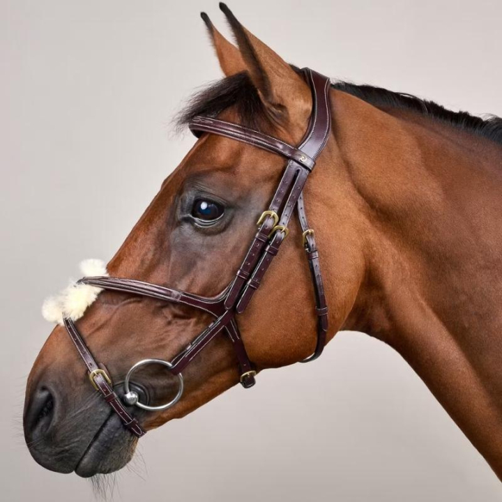 Hoofdstel Mexicaanse Neusriem Dyon Collection Bruin in de groep Paardenuitrusting / Hoofdstellen & Frontriemen / Hoofdstel bij Equinest (DYAAACBRCBR_r)