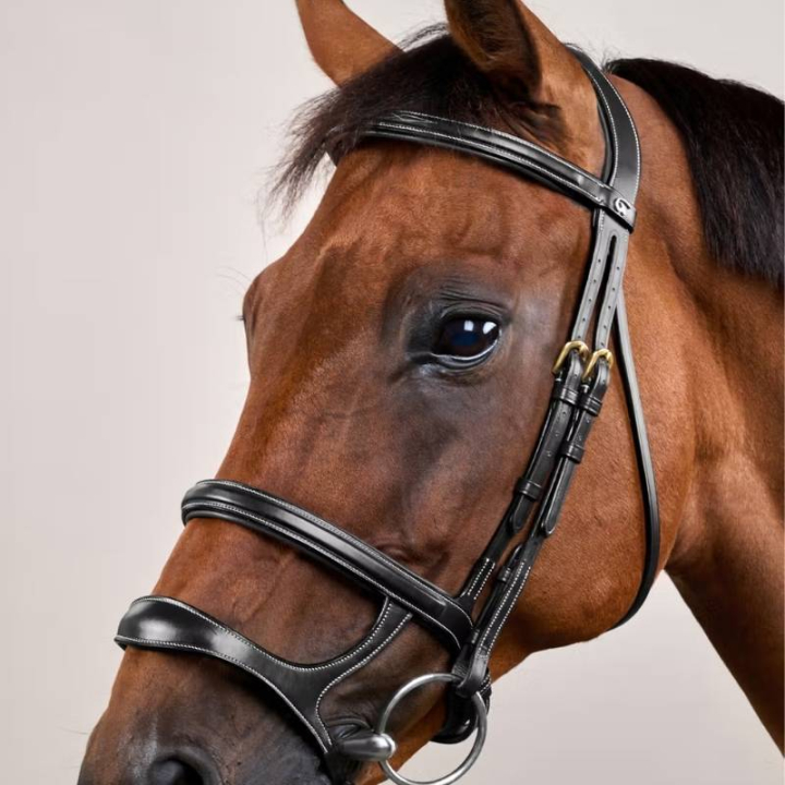 Hoofdstel Dubbele Neusriem Dyon Collection Zwart in de groep Paardenuitrusting / Hoofdstellen & Frontriemen / Hoofdstel bij Equinest (DYAAAHBLCBA_r)