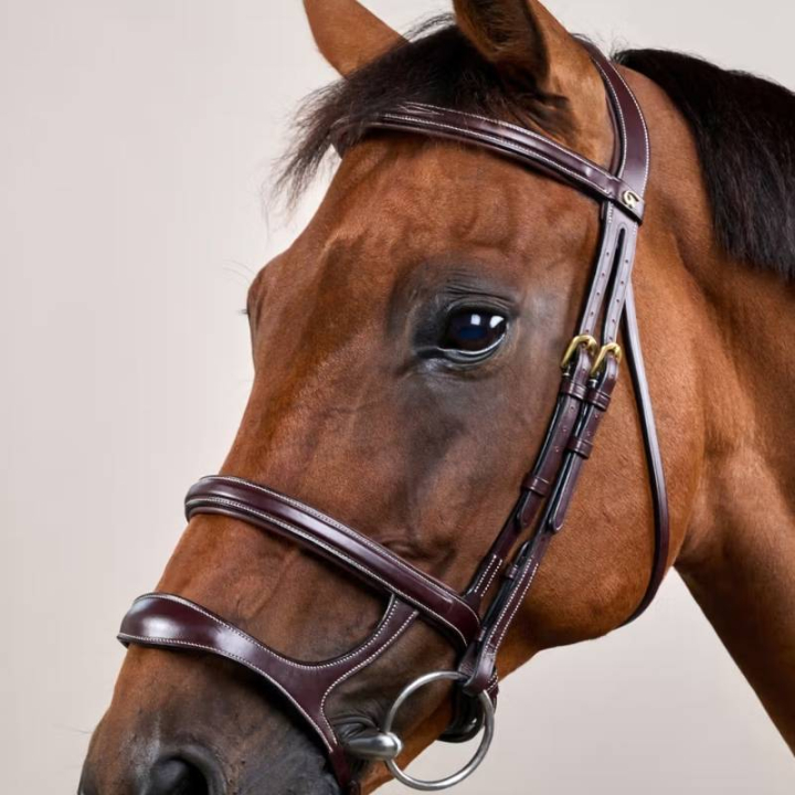 Hoofdstel Dubbele Neusriem Dyon Collection Bruin in de groep Paardenuitrusting / Hoofdstellen & Frontriemen / Hoofdstel bij Equinest (DYAAAHBRCBR_r)