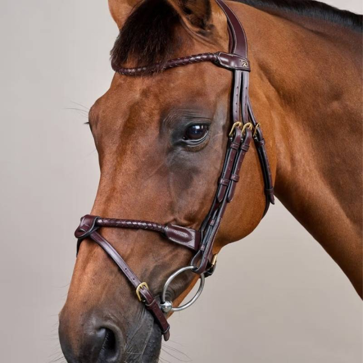 Hoofdstel Gecombineerde Neusriem Braided Dyon Collection Bruin in de groep Paardenuitrusting / Hoofdstellen & Frontriemen / Hoofdstel bij Equinest (DYARAYBRCBR_r)