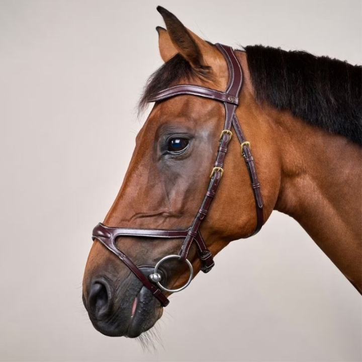 Hoofdstel X-Fit Anatomisch DC Bruin in de groep Paardenuitrusting / Hoofdstellen & Frontriemen / Hoofdstel bij Equinest (DYCCCDBr_r)
