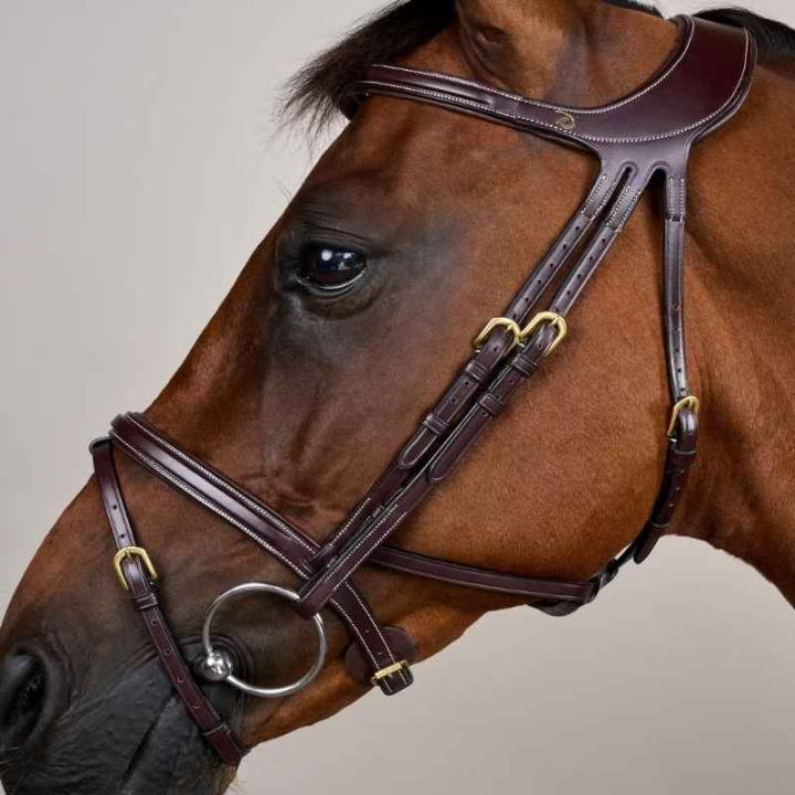 Hoofdstel Difference Dyon Collection Bruin in de groep Paardenuitrusting / Hoofdstellen & Frontriemen / Hoofdstel bij Equinest (DYGXAUBRCBR_r)