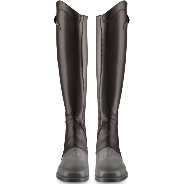 Minichaps Lyra Bruin in de groep Schoenen, Laarzen & Chaps / Chaps bij Equinest (E60201N0BR_r)