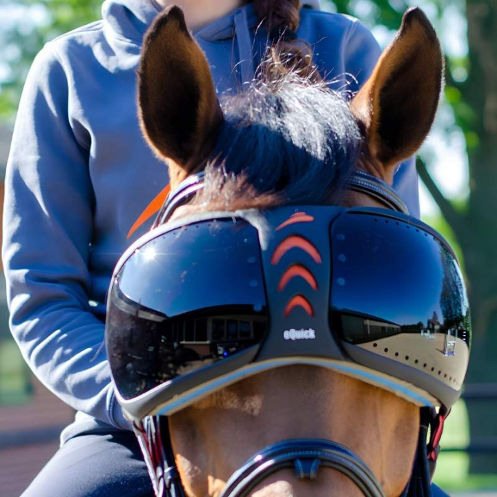 eVysor Darker in de groep Paardenuitrusting / Accessoires bij Equinest (EVYSOR2)