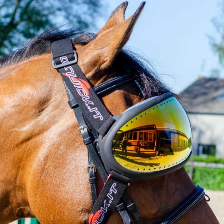 eVysor Mirrored Orange in de groep Paardenuitrusting / Accessoires bij Equinest (EVYSOR4OR)