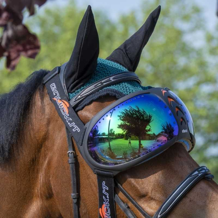 eVysor Mirrored Green in de groep Paardenuitrusting / Accessoires bij Equinest (EVYSOR5GN)