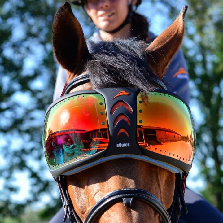 eVysor Mirrored Rainbow in de groep Paardenuitrusting / Accessoires bij Equinest (EVYSOR6)