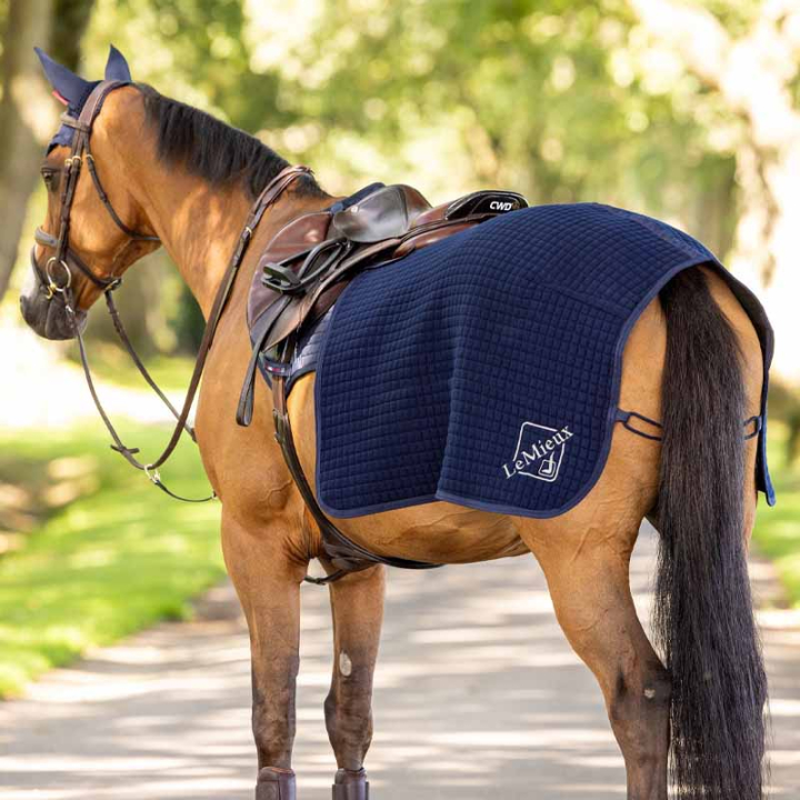 Uitrijdeken Clima-Tek Quarter Marineblauw in de groep Paardendekens / Uitrijdekens bij Equinest (IT04514003NA_r)