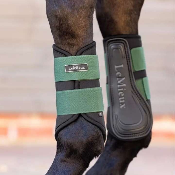 Beenbeschermers Grafter Zwart/Groen in de groep Paardenuitrusting / Beenbeschermers & Bandages / Beenbeschermers & Dressuurbeschermers bij Equinest (IT04919003BAOGN_r)
