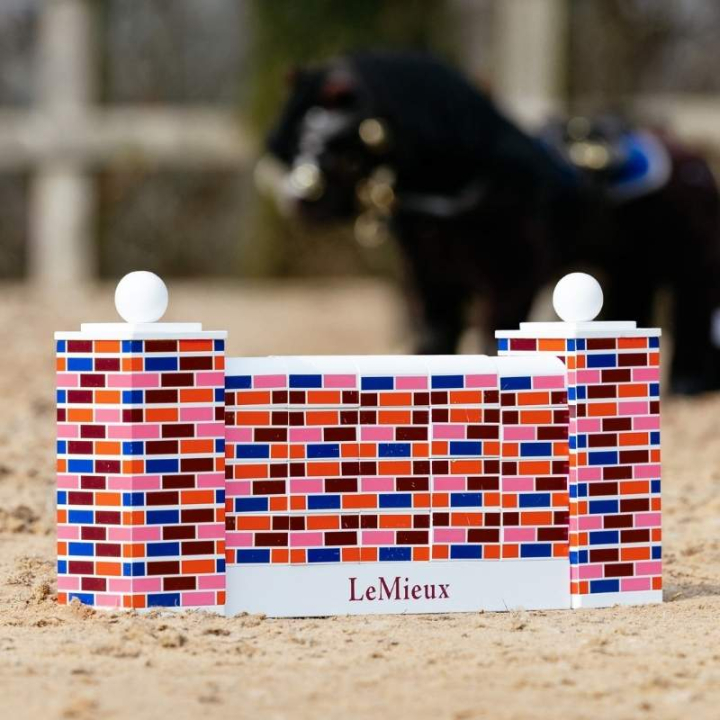 Puissance Wall  Toy Pony Veelkleurig in de groep Stokpaarden & Speelgoedpaarden / Uitrusting voor Speelgoedpaard bij Equinest (IT113290MULTI)