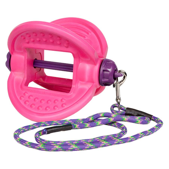 Houder Bizzy Ball Roze in de groep Voedingssupplement / Voedingssupplement paard / Zoutstenen & Likstenen bij Equinest (LIKBIZ09XPI)