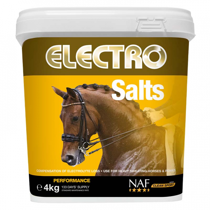Electro Zouten in de groep Voedingssupplement / Voedingssupplement paard / Prestatie bij Equinest (NAF161)