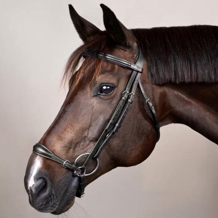 Hannoveraanse Hoofdstel New English Collection Zwart in de groep Paardenuitrusting / Hoofdstellen & Frontriemen / Kandare & Dressuurhoofdstel bij Equinest (NEAAAEBLCBA_r)