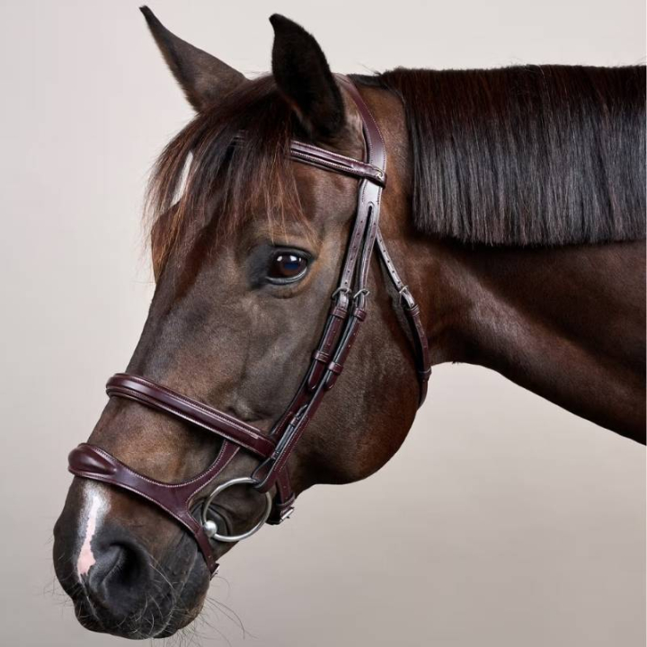 Hoofdstel Dubbele Neusriem New English Collection Bruin in de groep Paardenuitrusting / Hoofdstellen & Frontriemen / Hoofdstel bij Equinest (NEAAAHBRCBR_r)