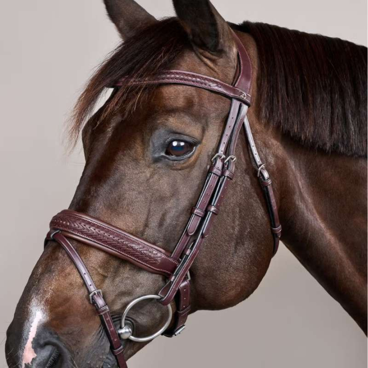 Hoofdstel Plaited Pull Back New English Collection Bruin in de groep Paardenuitrusting / Hoofdstellen & Frontriemen / Hoofdstel bij Equinest (NEAJAZBRCBR_r)
