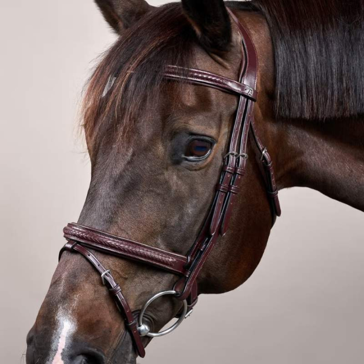 Hoofdstel Gecombineerde neusriem Plaited New English Collection Bruin in de groep Paardenuitrusting / Hoofdstellen & Frontriemen / Hoofdstel bij Equinest (NEAOAKBRCBR_r)