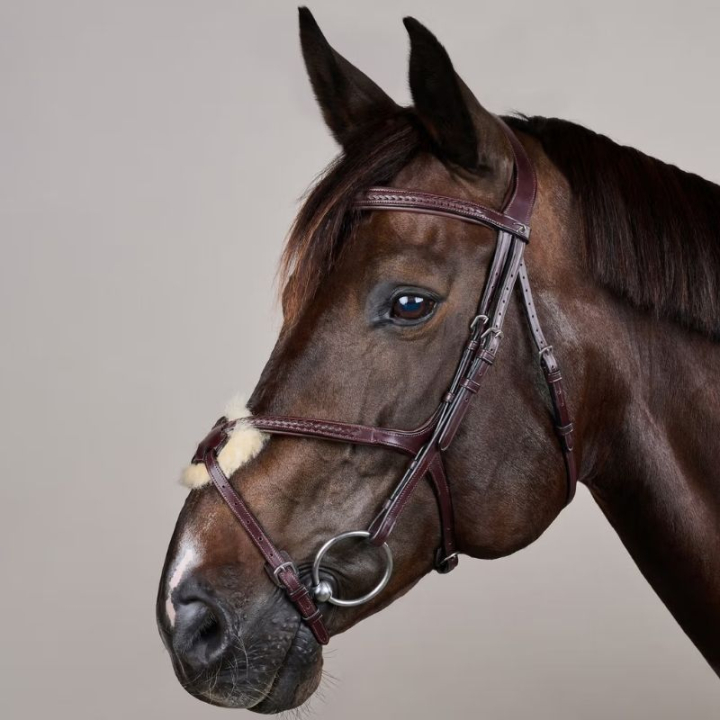 Hoofdstel Mexicaanse neusriem Plaited New English Collection Bruin in de groep Paardenuitrusting / Hoofdstellen & Frontriemen / Hoofdstel bij Equinest (NEAOAVBRCBR_r)